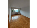 spacious-and-bright-25-room-apartment-for-rent-in-locarno-small-1