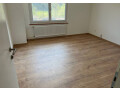 zwei-kurzlich-renovierte-3-zimmerwohnungen-in-liesberg-werden-ab-april-2023-zur-vermietung-angeboten-small-3